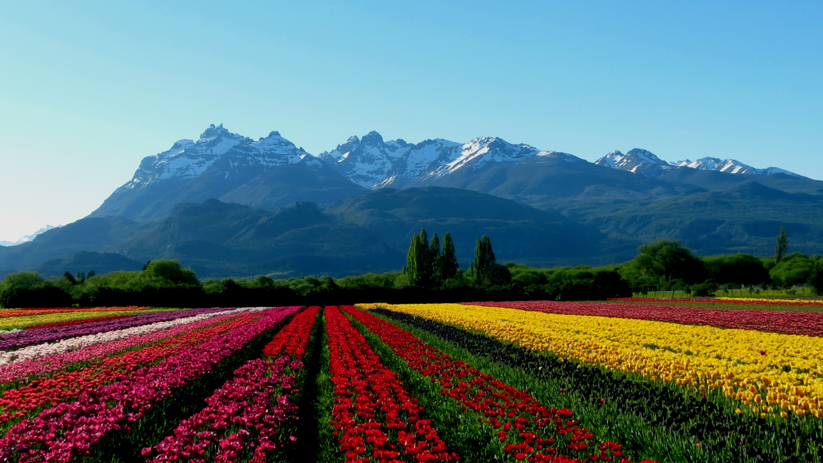 Discover the Enchanting Beauty of Patagonia